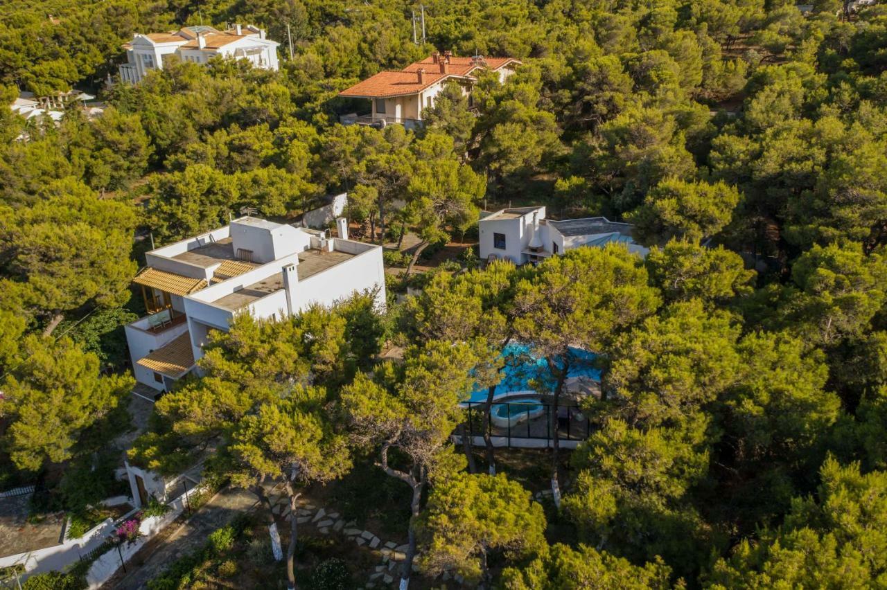 Ioanna's House Σπίτι διακοπών