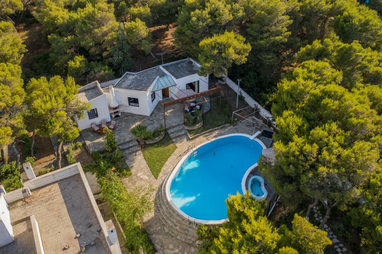 Σπίτι διακοπών Ioanna's House